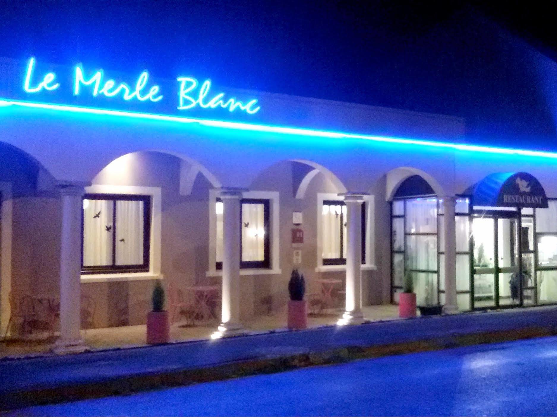 Le Merle Blanc Hôtel Logis Digoin Exterior foto